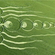 Image for article titled Did This Jellyfish Crop Circle Accurately Predict A Solar Storm?